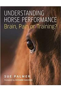 Understanding Horse Performance