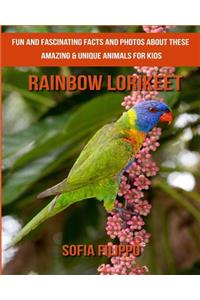 Rainbow lorikeet