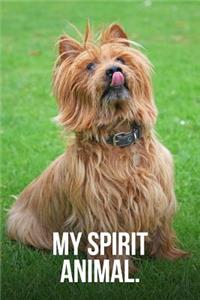My Spirit Animal