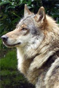 European Wolf Notebook