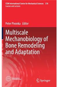 Multiscale Mechanobiology of Bone Remodeling and Adaptation