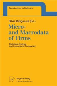 Micro- And Macrodata of Firms