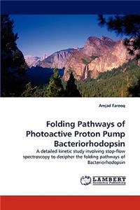 Folding Pathways of Photoactive Proton Pump Bacteriorhodopsin