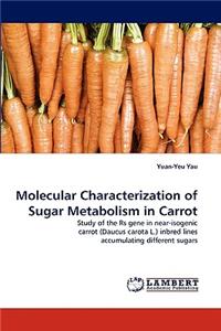 Molecular Characterization of Sugar Metabolism in Carrot