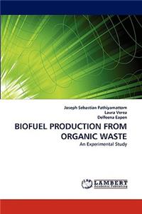 Biofuel Production from Organic Waste