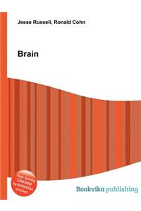 Brain