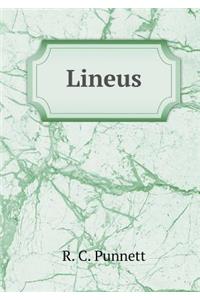 Lineus
