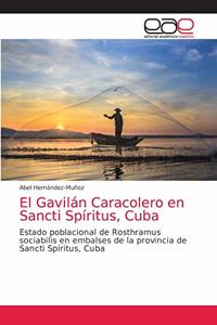 Gavilán Caracolero en Sancti Spíritus, Cuba