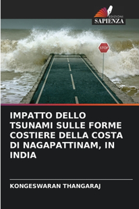 Impatto Dello Tsunami Sulle Forme Costiere Della Costa Di Nagapattinam, in India