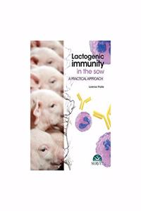 LACTOGENIC IMMUNITY IN THE SOW (HB 2018)