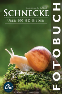 Schnecke