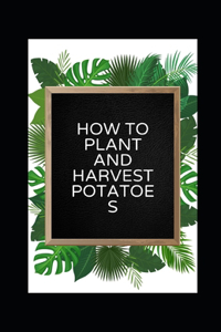 How to plant and harvest potatoes