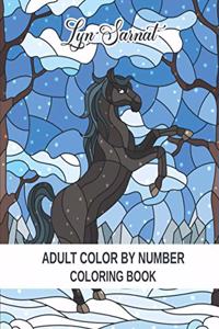 Adult Color By Number Coloring Book