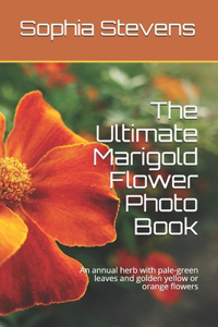 The Ultimate Marigold Flower Photo Book