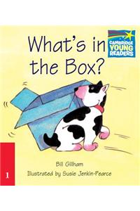 What's in the Box?
