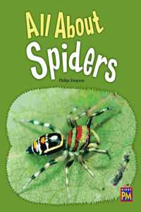 All about Spiders