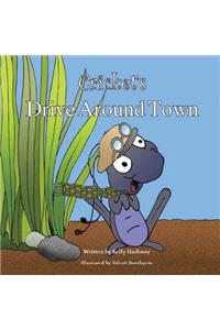 Cricket's Drive Around Town