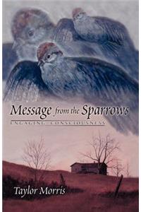 Message from the Sparrows