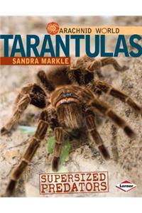 Tarantulas