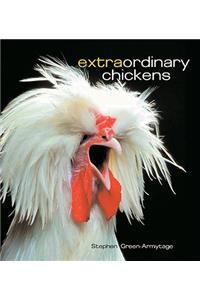 Extraordinary Chickens