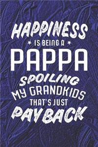 Happiness Is Being A Pappa Spoiling My Grandkids That's Just Payback