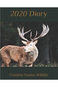 2020 Diary