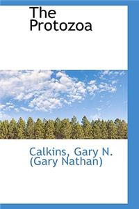 The Protozoa