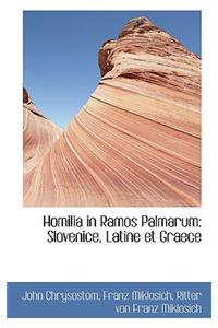 Homilia in Ramos Palmarum
