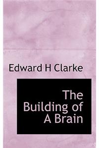The Building of a Brain