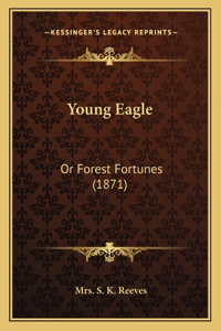 Young Eagle