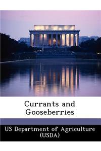 Currants and Gooseberries