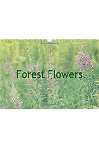 Forest Flowers 2017