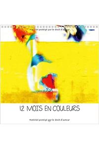 12 Mois en Couleurs 2017
