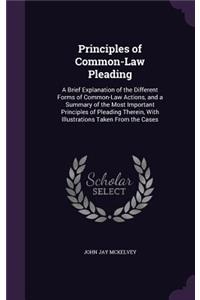 Principles of Common-Law Pleading
