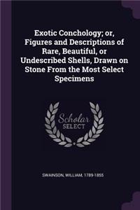 Exotic Conchology; or, Figures and Descriptions of Rare, Beautiful, or Undescribed Shells, Drawn on Stone From the Most Select Specimens