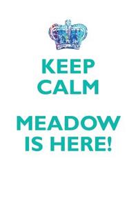 KEEP CALM, MEADOW IS HERE AFFIRMATIONS WORKBOOK Positive Affirmations Workbook Includes