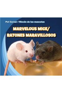 Marvelous Mice/Ratones Maravillosos