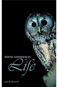 Poetic Experiences of Life