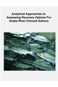 Analytical Approaches to Assessing Recovery Options for Snake River Chinook Salmon