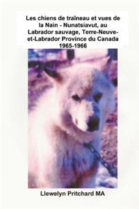 Les chiens de traîneau et vues de la Nain - Nunatsiavut, au Labrador sauvage, Terre-Neuve-et-Labrador Province du Canada 1965-1966