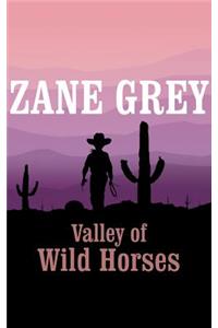 Valley of Wild Horses