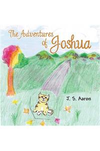 The Adventures of Joshua