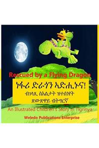 Rescued by a Flying Dragon