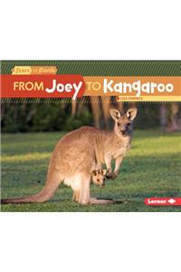 From Joey to Kangaroo