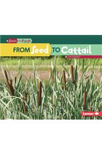 From Seed to Cattail