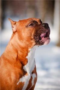 The American Staffordshire Terrier Dog Journal