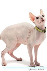 Don Sphynx Affirmations Workbook Don Sphynx Presents