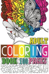 Adult Coloring Book 100 Pages