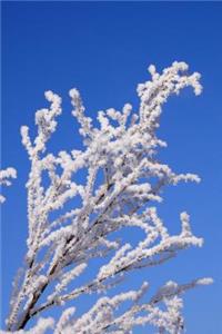 Winter Frost on a Cherry Tree Journal