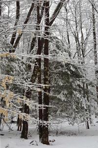 Winter Snowstorm Photography Journal
